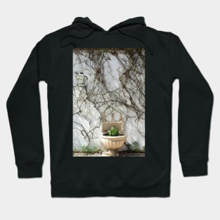 Winter Garden Hoodie